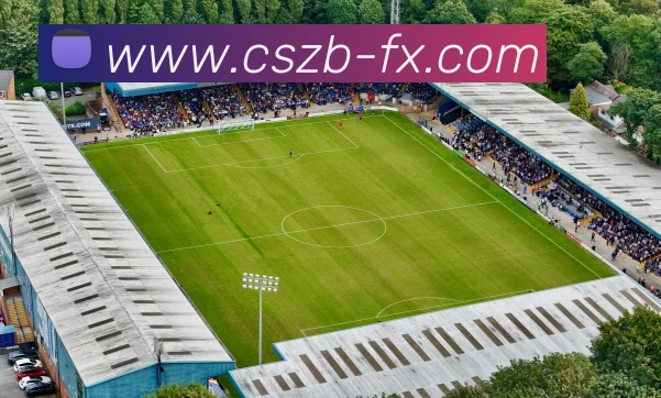 App Interface Preview